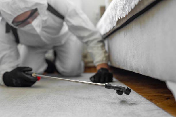 Professional Emergency Pest Control technician working in Borrego Springs, CA