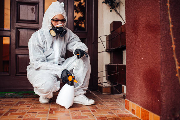Reliable Emergency Pest Control contractor in Borrego Springs, CA by Nex Pest Control